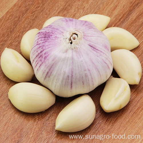 Provide Fresh Peeled White Garlic